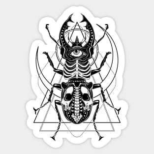 Beetle Gaze Sticker